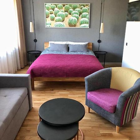 Kaktuss Apartamenti Смілтене Екстер'єр фото