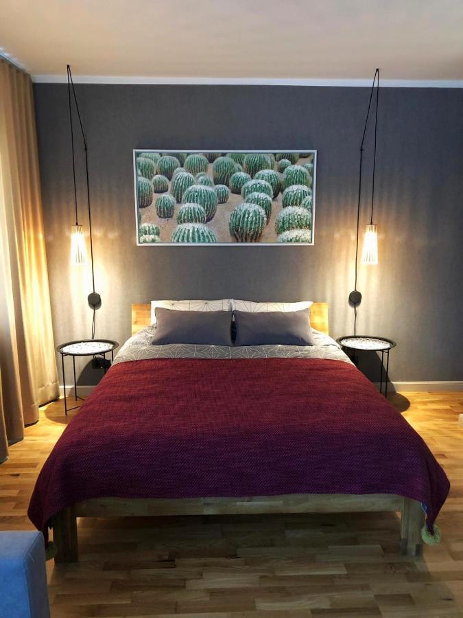 Kaktuss Apartamenti Смілтене Екстер'єр фото
